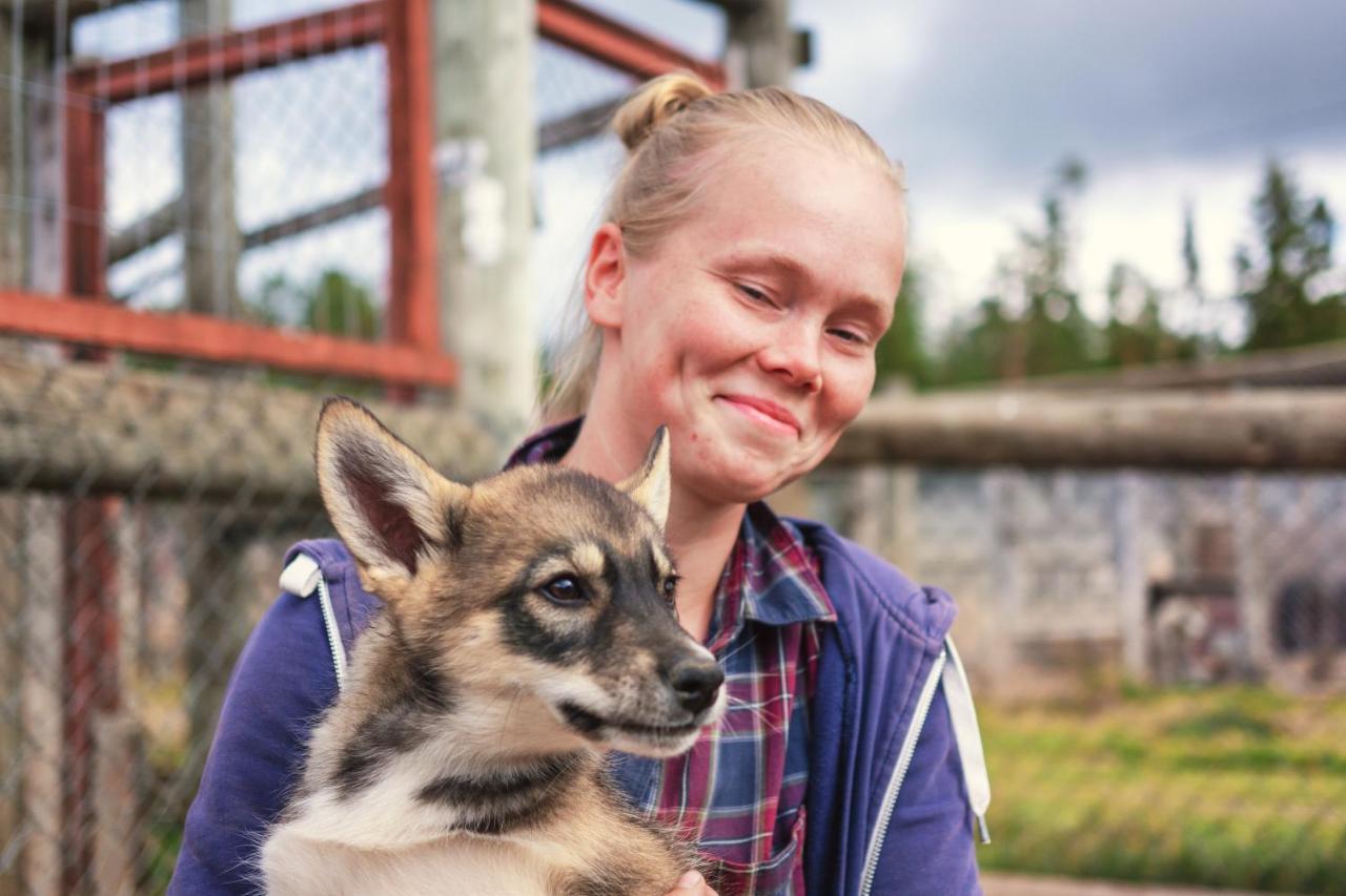 Harriniva Adventure Resort Cabins Muonio Bagian luar foto